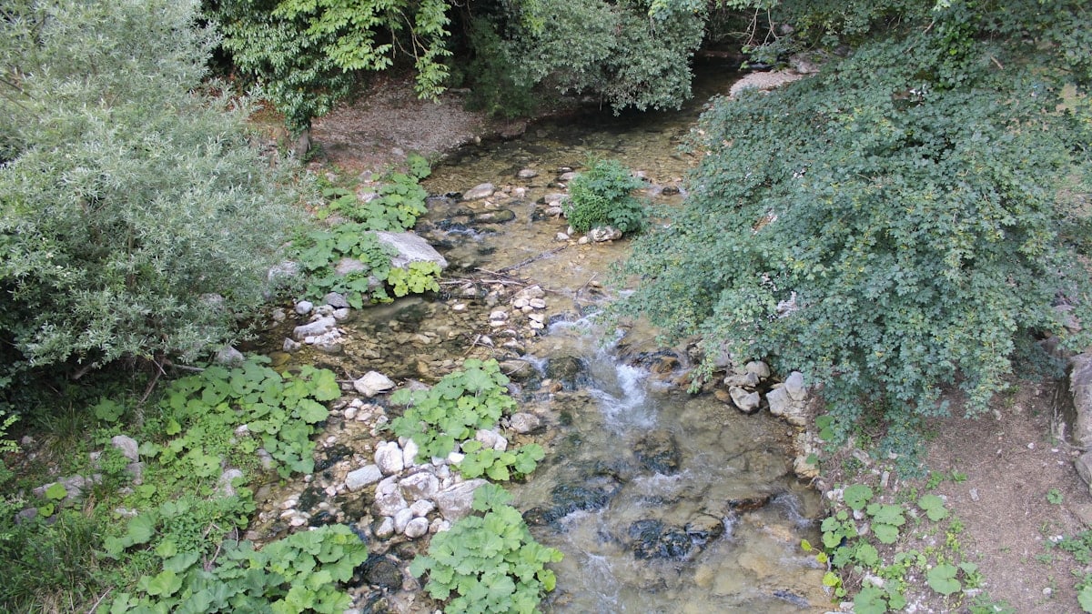 a small stream among the greenery of nature, in Molise near the village of Carpinone